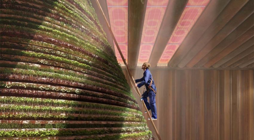 ‘Dutch Dubai’ wordt prachtig podium voor tuinbouwtechnologie ‘Dutch Dubai’ wordt prachtig podium voor tuinbouwtechnologie