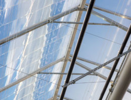 Ter Laak wint energieprijs met DaglichtKas, maar subsidie stopt