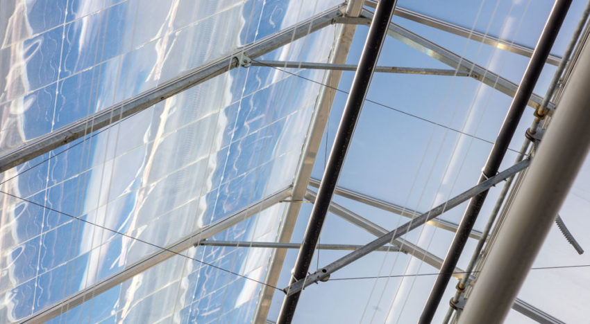 Ter Laak wint energieprijs met DaglichtKas, maar subsidie stopt