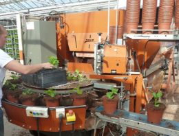 Goed onderhoud voorkomt ongewenste stilstand op potplantenbedrijf