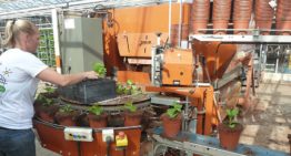 Goed onderhoud voorkomt ongewenste stilstand op potplantenbedrijf