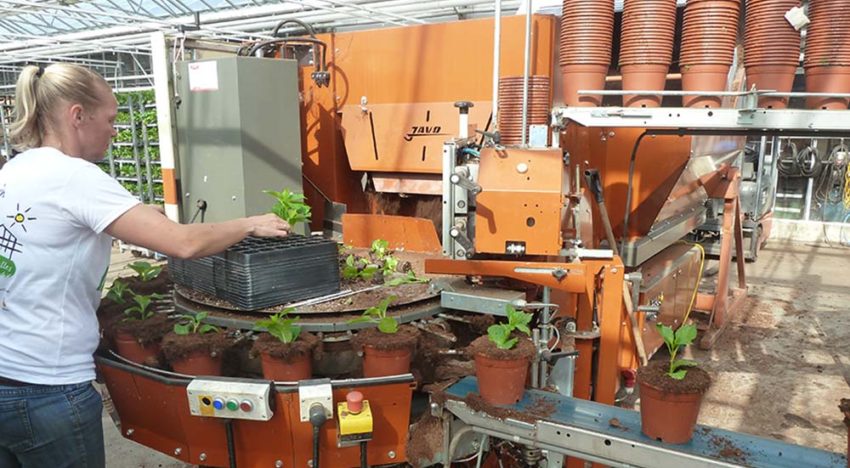 Goed onderhoud voorkomt ongewenste stilstand op potplantenbedrijf