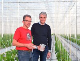 Rekenprogramma helpt teler aan te sluiten bij behoefte van de plant