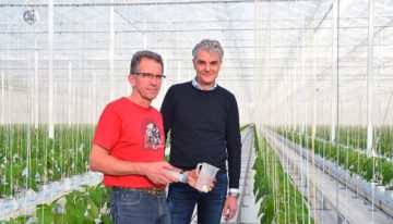 Rekenprogramma helpt teler aan te sluiten bij behoefte van de plant