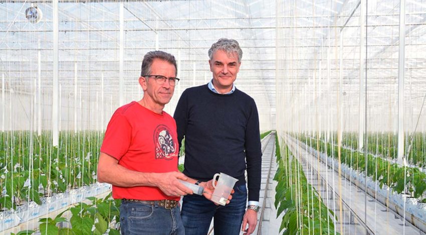 Rekenprogramma helpt teler aan te sluiten bij behoefte van de plant