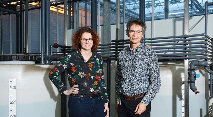 Digitale modellen met meer inzicht vervangen Adviesboek bemesting