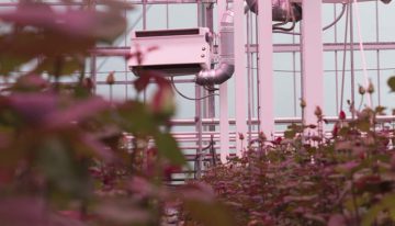 Latente energie binnenhouden draagt in hoge mate bij aan energiebesparing