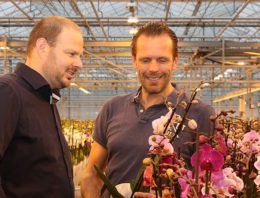 Phalaenopsisteler gebruikt gemiddelde PAR-meting als extra tool