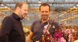 Phalaenopsisteler gebruikt gemiddelde PAR-meting als extra tool