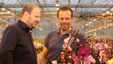 Phalaenopsisteler gebruikt gemiddelde PAR-meting als extra tool