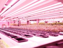 GROWx maakt doorstart na ingreep financier