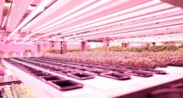 GROWx maakt doorstart na ingreep financier