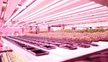 GROWx maakt doorstart na ingreep financier