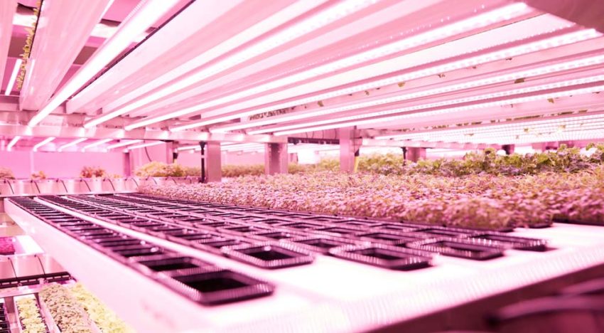 GROWx maakt doorstart na ingreep financier
