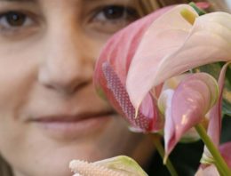 ‘Exclusieve soorten maken potanthurium meer trendy’