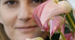 ‘Exclusieve soorten maken potanthurium meer trendy’
