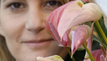 ‘Exclusieve soorten maken potanthurium meer trendy’