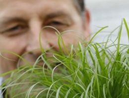 ‘Afzet aan tuincentra én aan dierenwinkels’