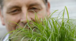 ‘Afzet aan tuincentra én aan dierenwinkels’