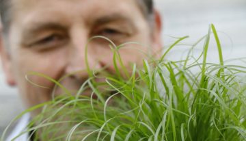 ‘Afzet aan tuincentra én aan dierenwinkels’