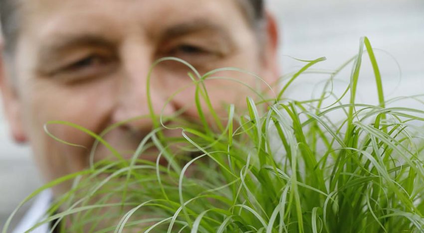 ‘Afzet aan tuincentra én aan dierenwinkels’