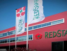Looye Kwekers en RedStar blazen fusie af