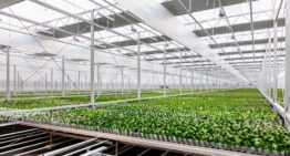 Ter Laak Orchids genomineerd voor de Green Quest Award