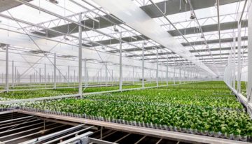 Ter Laak Orchids genomineerd voor de Green Quest Award