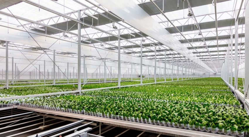 Ter Laak Orchids genomineerd voor de Green Quest Award