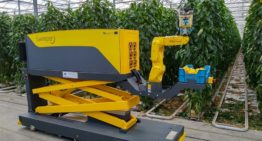 Sweeper robot maakt enorme stappen