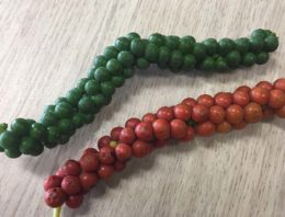 Sensorisch panel voor verse zwarte peper