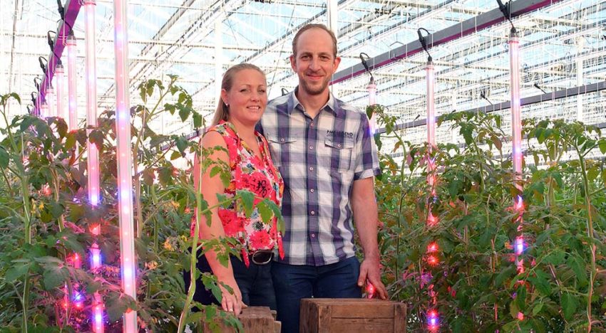 ‘Hoe meer blad je belicht hoe beter; elk belicht blad gaat werken’