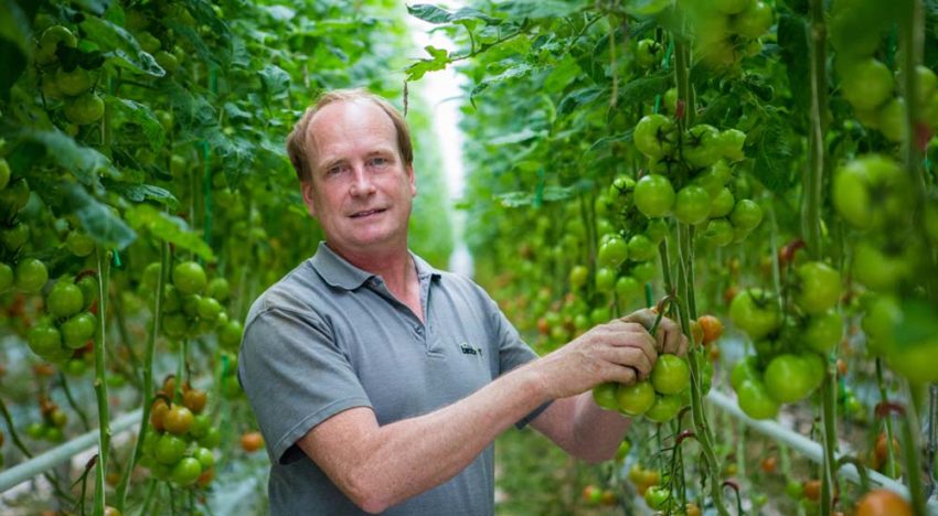 “Het enige wat ons nu écht bezighoudt, is de Brexit”