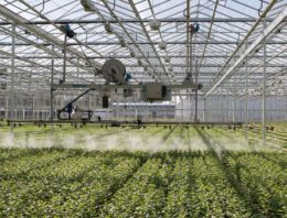 Groene middelen zijn bezig met een flinke opmars