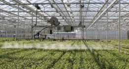 Groene middelen zijn bezig met een flinke opmars