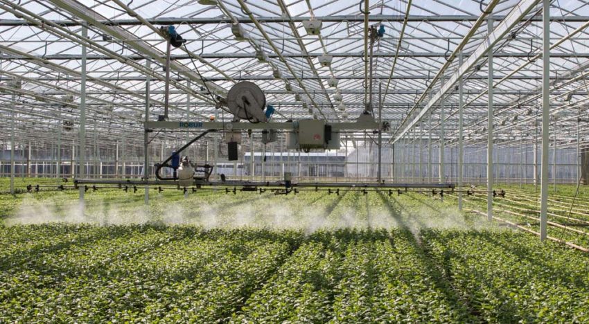Groene middelen zijn bezig met een flinke opmars