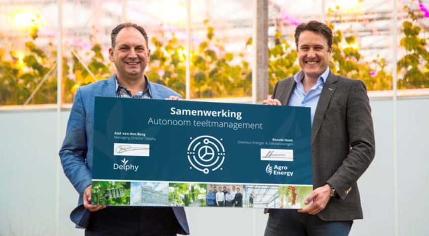 Delphy en AgroEnergy werken samen verder aan autonoom teeltmanagement Delphy en AgroEnergy werken samen verder aan autonoom teeltmanagement