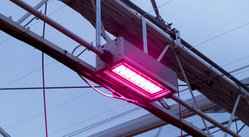 Oreon verbetert efficiency van watergekoelde led-armatuur Oreon verbetert efficiency van watergekoelde led-armatuur