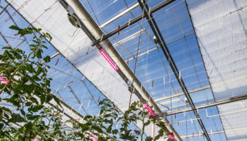 Nieuw zomerscherm van Svensson gelanceerd op HortiContact