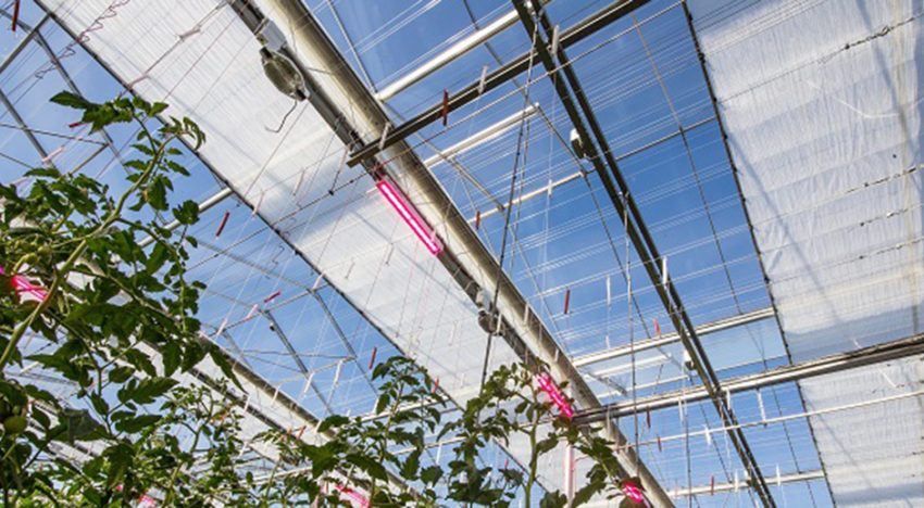 Nieuw zomerscherm van Svensson gelanceerd op HortiContact Nieuw zomerscherm van Svensson gelanceerd op HortiContact