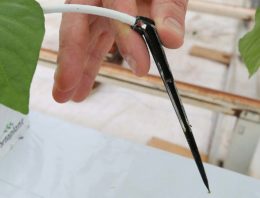 Nieuwe gestabiliseerde waterstofperoxide