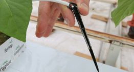 Nieuwe gestabiliseerde waterstofperoxide