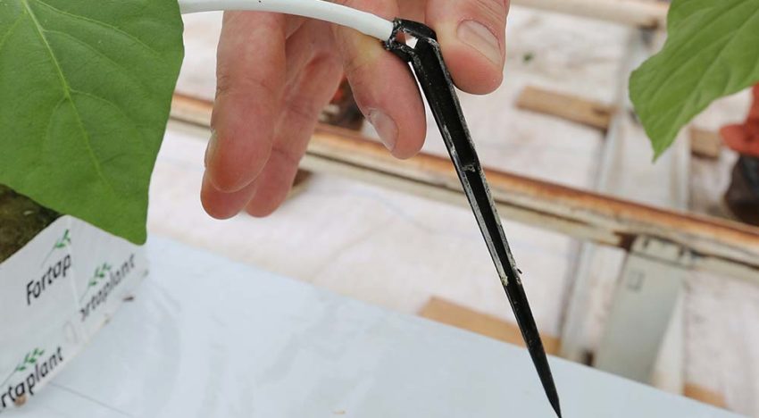 Nieuwe gestabiliseerde waterstofperoxide