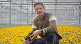 ‘Het is tijd voor een volgende stap van ons potplantenbedrijf’