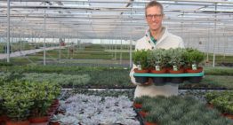 ‘Betere kwaliteit, minder uitval en insectendruk door weerbaar telen’