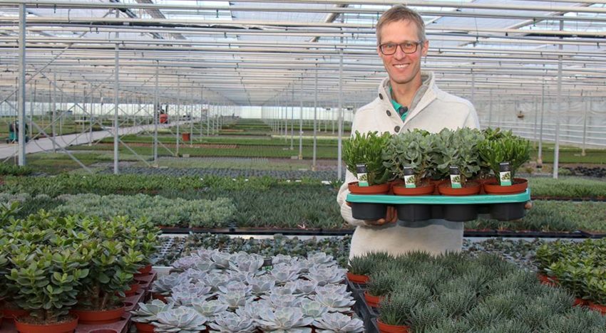 ‘Betere kwaliteit, minder uitval en insectendruk door weerbaar telen’