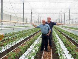 Speciale rassen geven meerwaarde voor biologische teelt