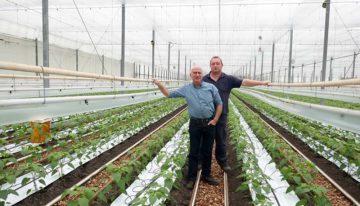 Speciale rassen geven meerwaarde voor biologische teelt