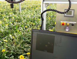 Autonome voertuigen moeten nog leren waar ze zich bevinden