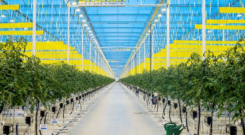 ‘Groene middelen zijn onmisbare stukjes van een grote puzzel’